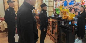 双城分局强化住宿场所隐患检查  筑牢游客住宿“防护墙”