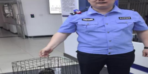 警民携手护生态：通达派出所民警成功解救国家二级保护动物夜鹭
